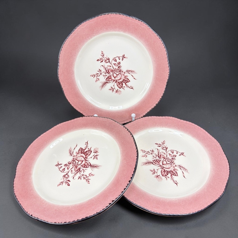 Wood & Sons England Pink Rose Floral Dishes Plates Set 3 Scalloped Edge 8 inch